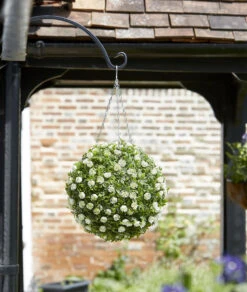 Topiary White Rose Ball - 30cm