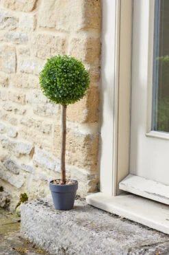 Uno Ball Topiary Tree - 40cm