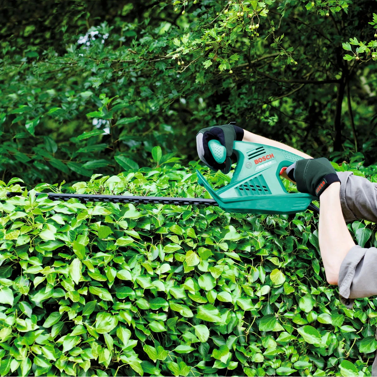 Bosch Electric Hedge Trimmer - AHS 50-16 - Image 3