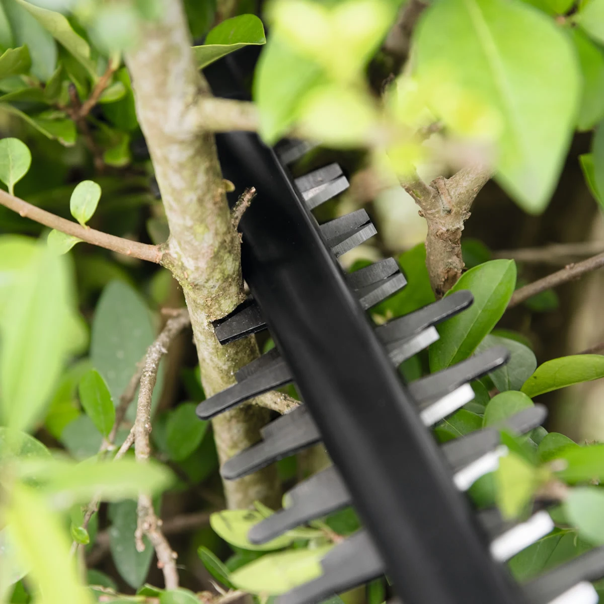 Bosch AHS 55-20 Li Cordless Hedge Trimmer - Image 5