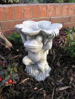 Frog Petal Dish Garden Ornament - AN9
