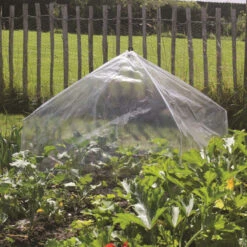 Haxnicks Giant Easy Lantern Cloche - Poly