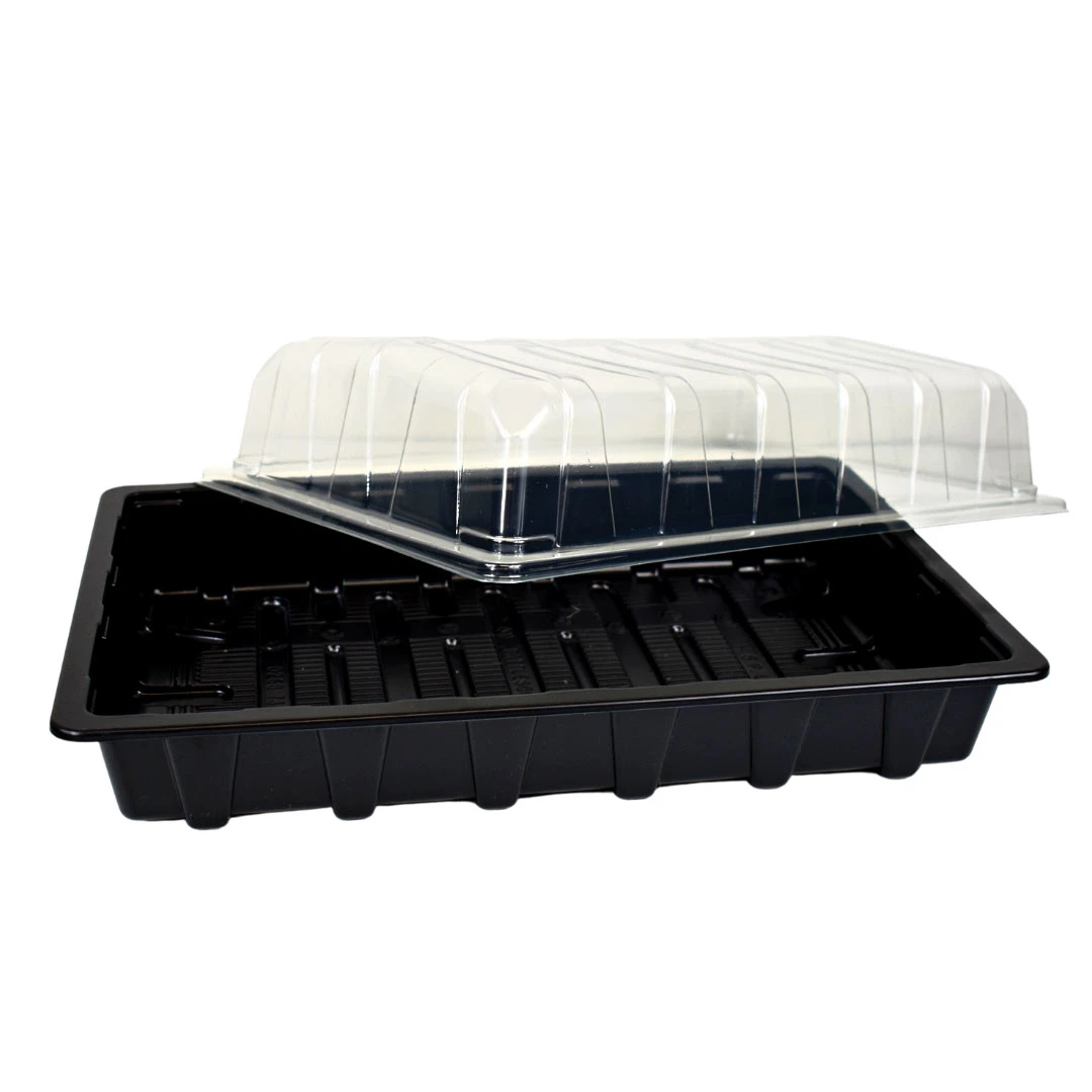 Nutley's Clear Plastic Full Size Seed Propagator Lid And Seed Tray - Tray: With Holes