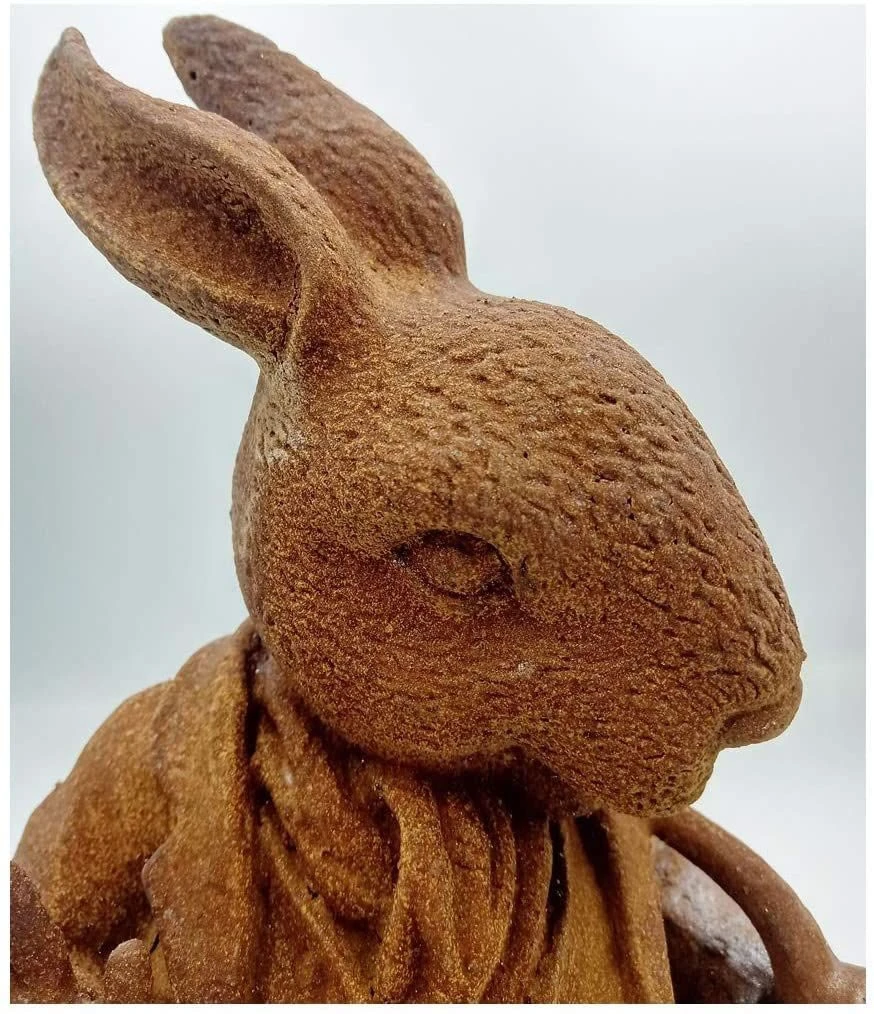 Cold Cast Iron Mr Rabbit Garden Ornament From Beatrix Potter - Image 4