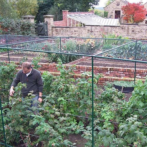 Deluxe Fruit Cage 183cm High X 549cm Wide X 1463cm Long