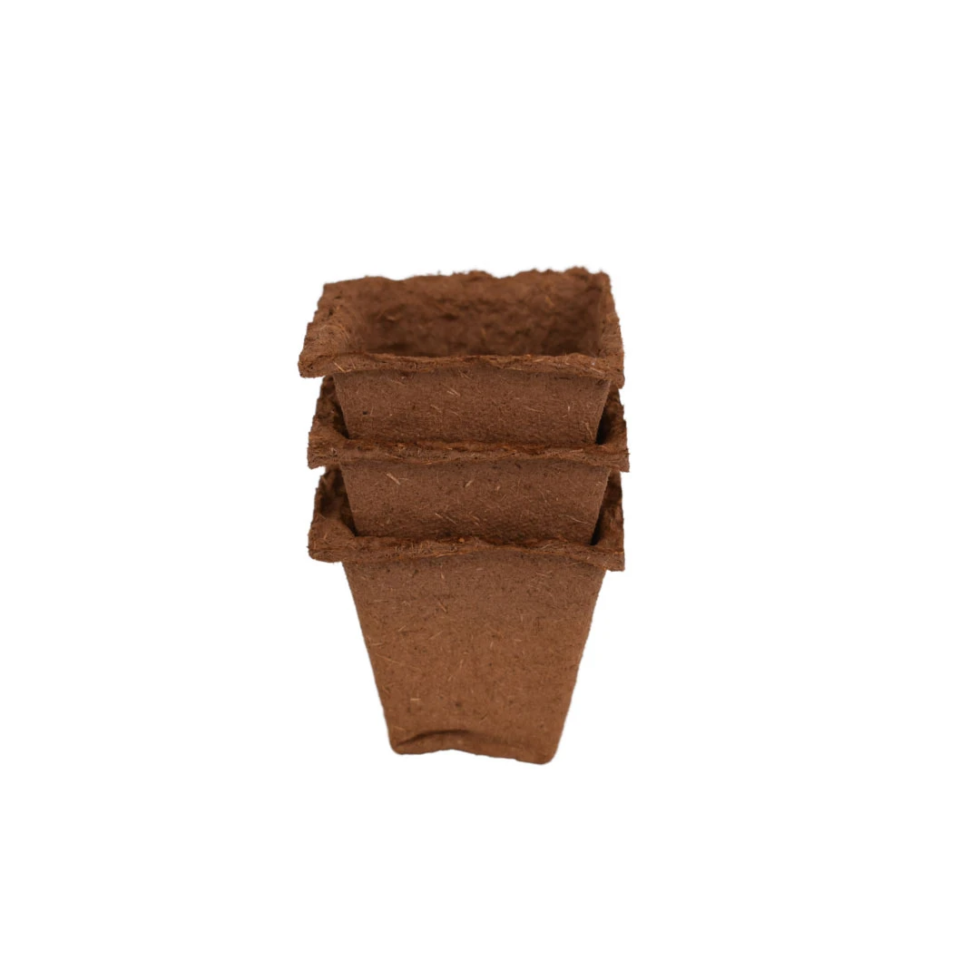 Nutley's 6cm Square Biodegradable Organic Wood Fibre Plantable Plant Pots - Image 4