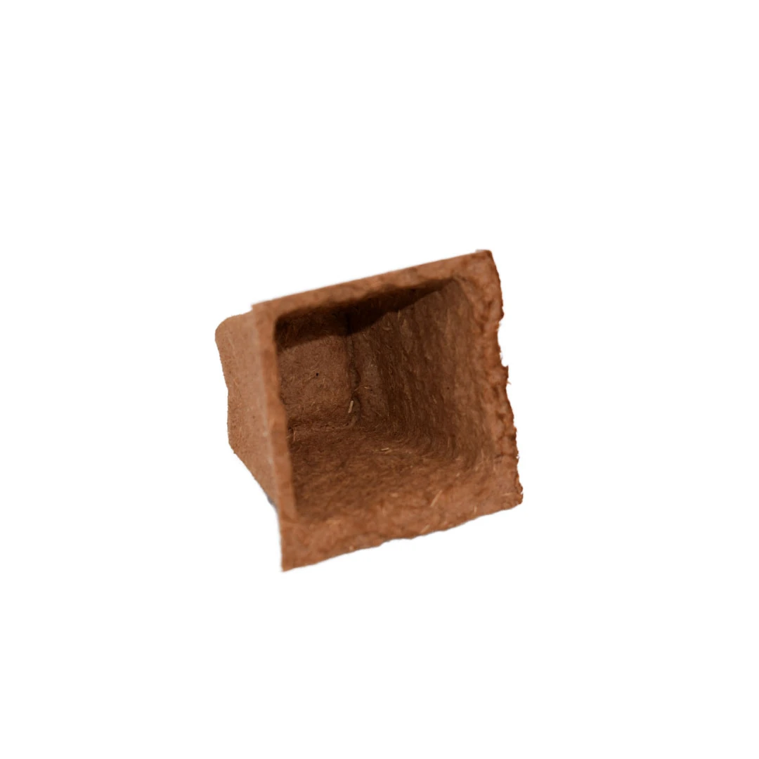 Nutley's 6cm Square Biodegradable Organic Wood Fibre Plantable Plant Pots - Image 5