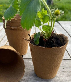 Nutley's 7cm Biodegradeable Organic Wood Fibre Plantable Plant Pots