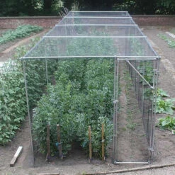 Heavy Duty Fruit Cage 213cm X 731cm X 1463cm With Bird Netting