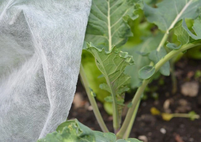 Nutley's 1.5m Wide Heavyweight Garden Fleece 35gsm - Image 3