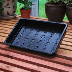 Economy Seed Trays - Pack Of 25