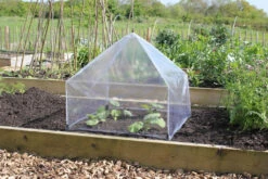 Haxnicks Easy Lantern Garden Cloche