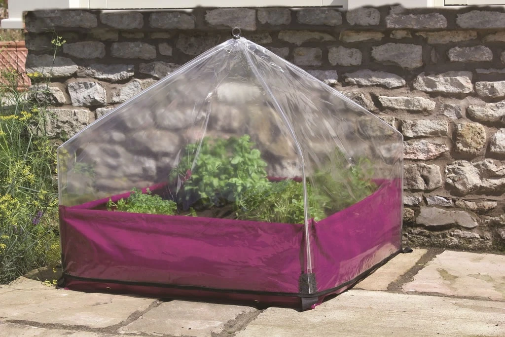 Haxnicks Easy Lantern Garden Cloche - Image 2