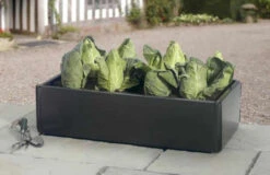 Mini Raised Bed - Special Offer Pack Of 2