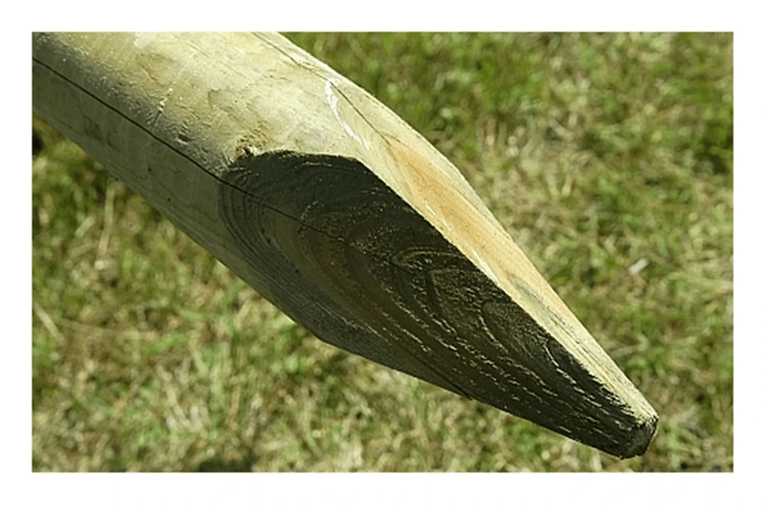 10 X 1.65m (5.5ft) Pressure Treated Machine Round Posts - 75mm Diameter - Image 2