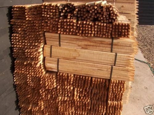 Rainbow Tree Defenders With Stakes - 75cm Tall - X10 - Image 4