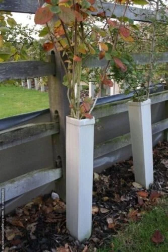 Rainbow Tree Defenders With Stakes - 75cm Tall - X10 - Image 2