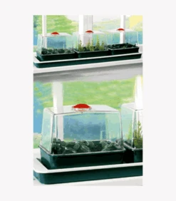 Garland Triple Top Windowsill Propagator
